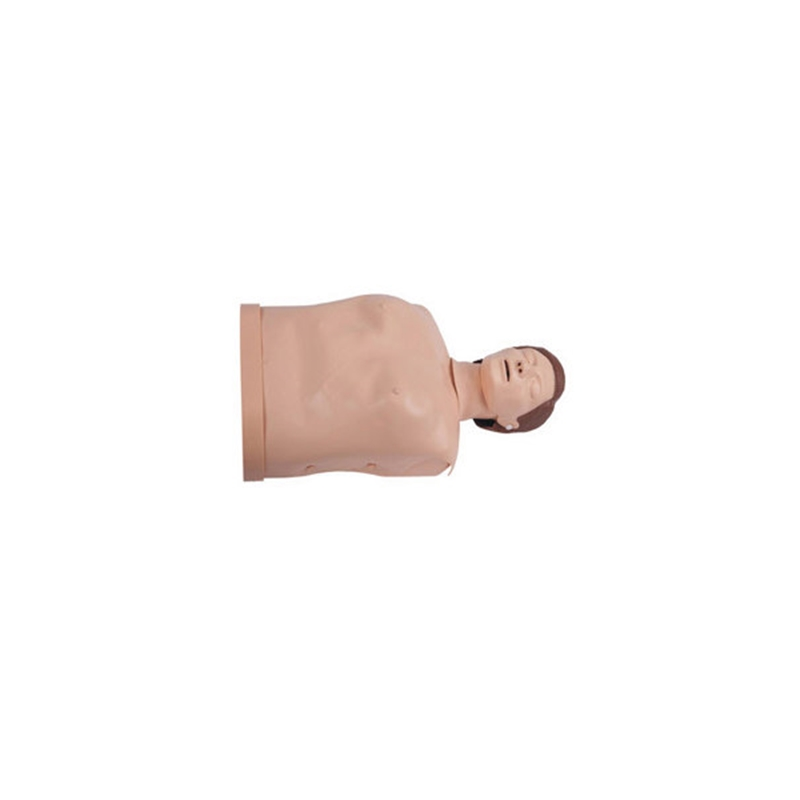 CROR/科洛 CROR/科洛 安全实训高级半身心肺复苏模型人 KAR/CPR190 男模特 1台 KAR/CPR190