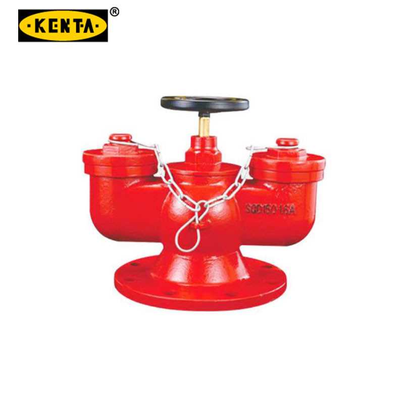 KENTA/克恩达 KENTA/克恩达 19-119-1401 B62635 新型SQX100地下式消防水泵接合器 19-119-1401
