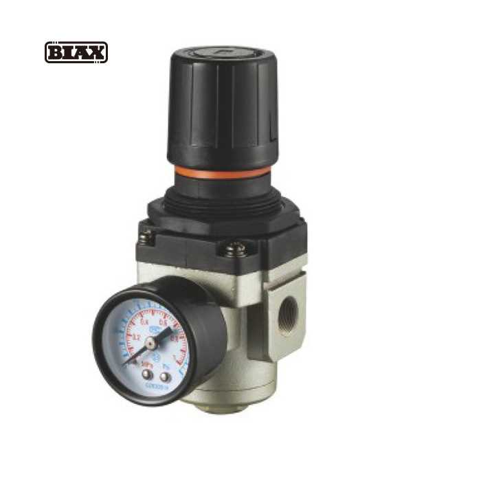 BIAX/巴克斯 BIAX/巴克斯 AR4000-06 C14882 SMC系列气源处理件减压阀/AT91-100-2683 AR4000-06