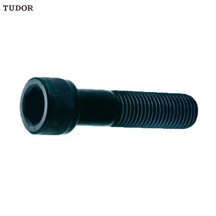 TUDOR TUDOR C15444 公制内六角孔杯头螺丝 C15444