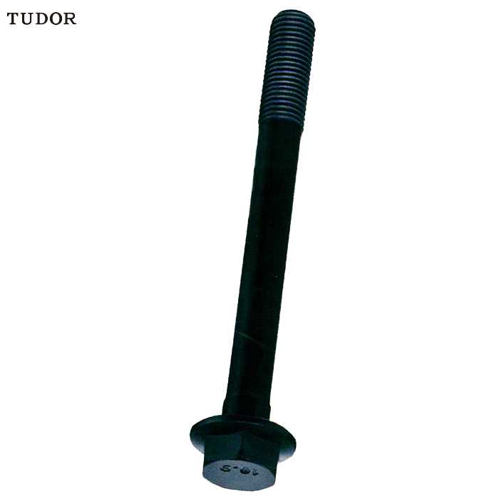 TUDOR TUDOR C15926 公制法兰(凸缘)螺丝 C15926