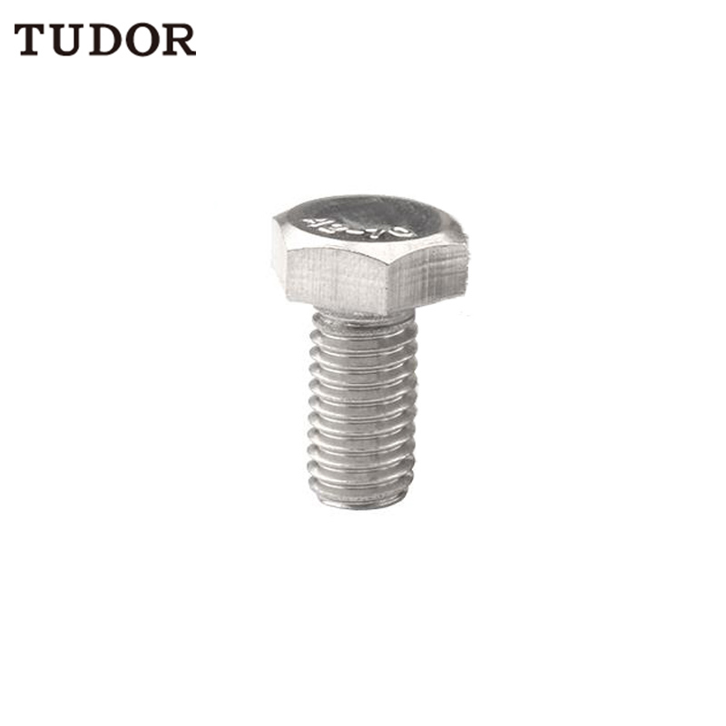 TUDOR TUDOR C80255 不锈钢 外六角螺丝 C80255