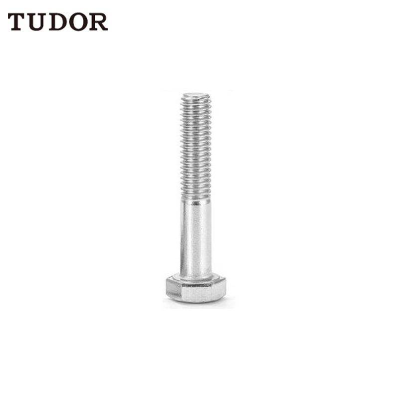 TUDOR TUDOR C81382 不锈钢 外六角螺丝 C81382