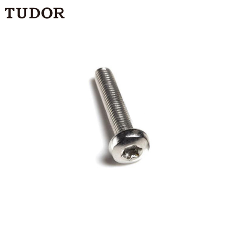 TUDOR TUDOR C84320 不锈钢机螺钉 C84320