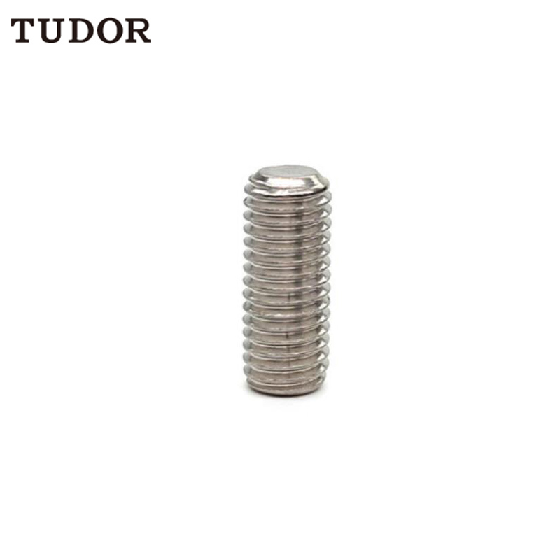 TUDOR TUDOR C85480 不锈钢紧定螺钉  C85480
