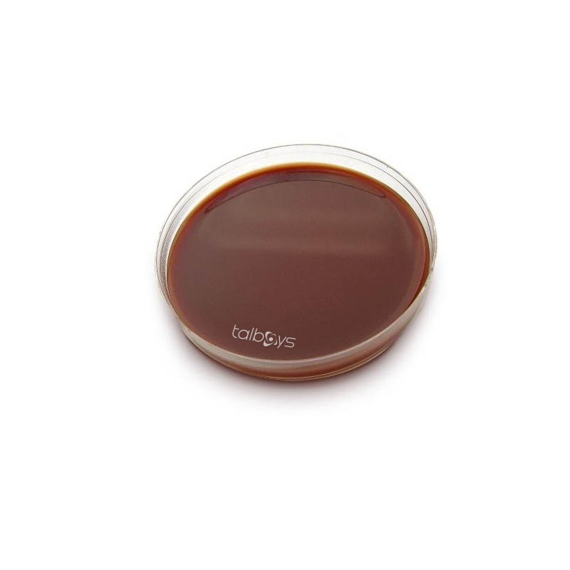 TS210461 talboys/塔尔博伊斯 TS210461 H60303 微生物培养基 巧克力琼脂平板
