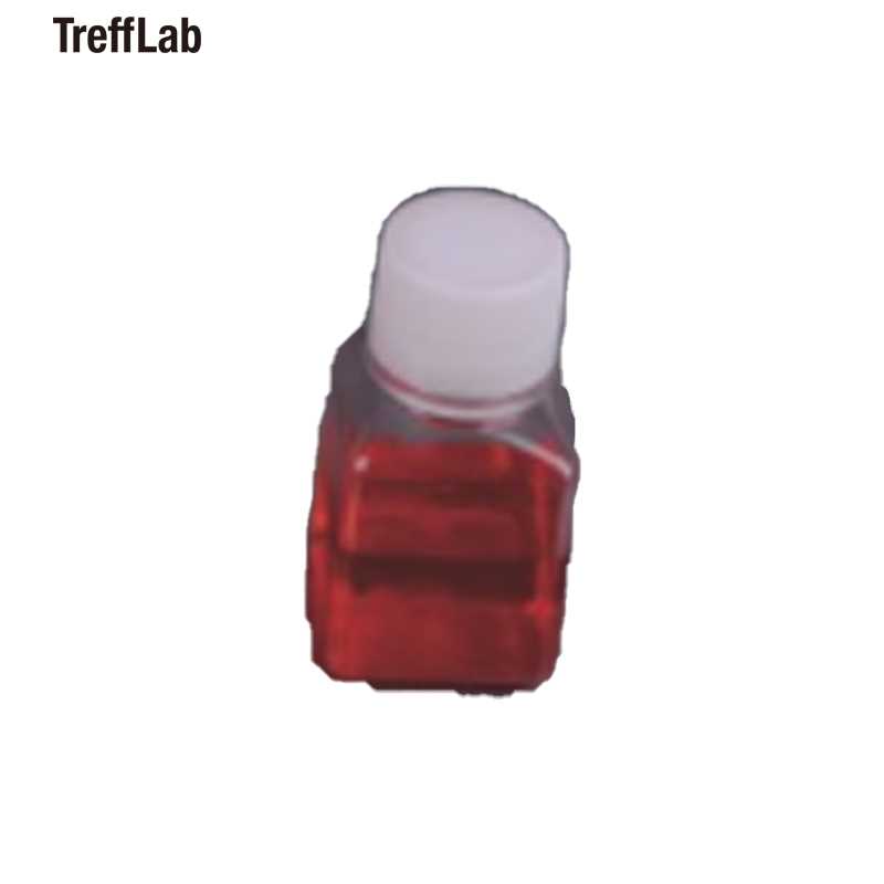 Trefflab/特瑞夫 Trefflab/特瑞夫 96101306 H11497 培养基瓶 96101306