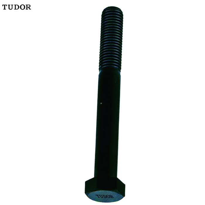 TUDOR/帝都 TUDOR/帝都 TUC8-080208 C16018 8级美制外六角螺丝 TUC8-080208