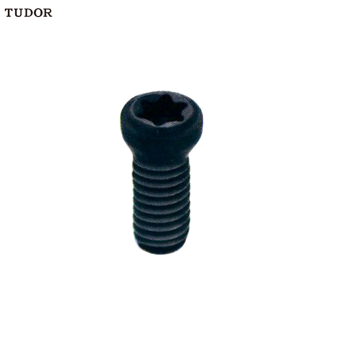 TUDOR/帝都 TUDOR/帝都 TUP080016 C16086 12.9级伞形刀把螺丝 TUP080016
