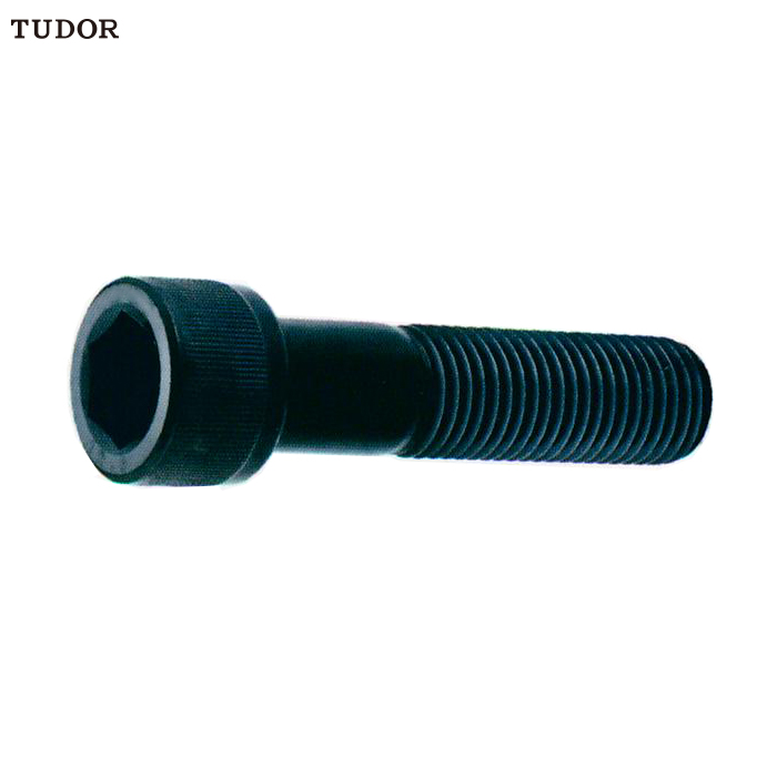 TUV240280 TUDOR/帝都 TUV240280 C16596 12.9级公制内六角孔杯头螺丝