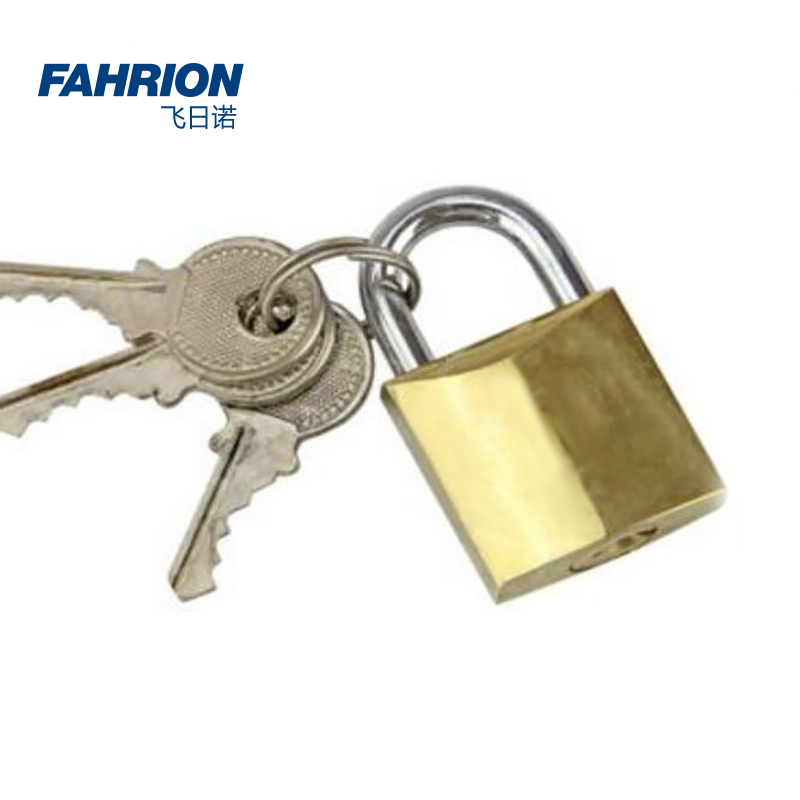 FAHRION/飞日诺 FAHRION/飞日诺 GD99-900-2254 GD5384 锁 GD99-900-2254