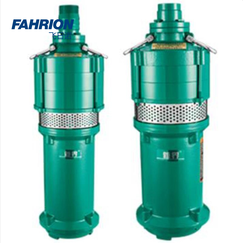 FAHRION/飞日诺 FAHRION/飞日诺 GD99-900-3168 GD6081 Q(D)型干式潜水电泵 GD99-900-3168