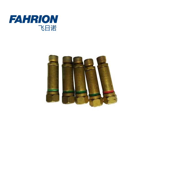 FAHRION/飞日诺 FAHRION/飞日诺 GD99-900-1837 GD6742 减压器用回火防止器 GD99-900-1837