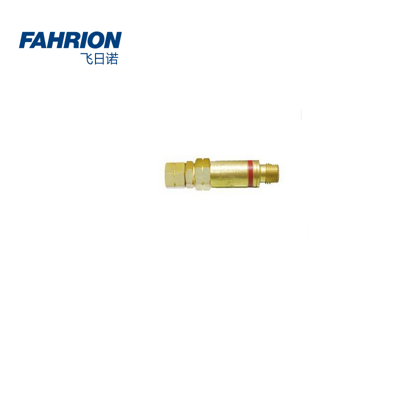 GD99-900-1845 FAHRION/飞日诺 GD99-900-1845 GD6749 回火防止器