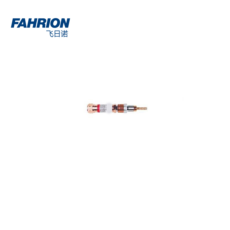 FAHRION/飞日诺 FAHRION/飞日诺 GD99-900-1847 GD6751 回火防止器 GD99-900-1847