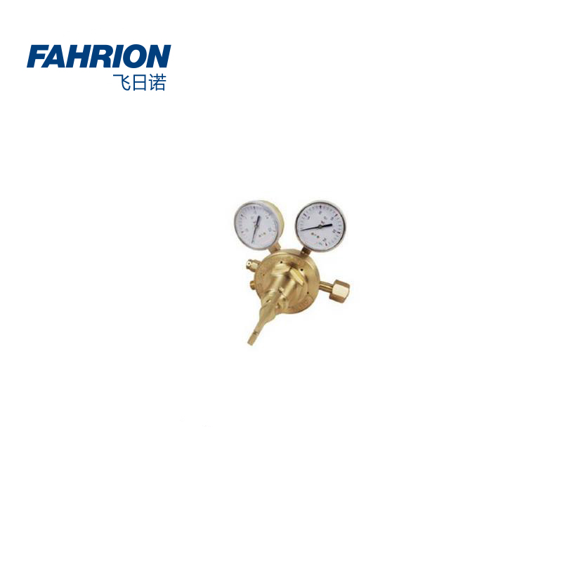 FAHRION/飞日诺 FAHRION/飞日诺 GD99-900-1871 GD6771 单级式重型减压器 GD99-900-1871