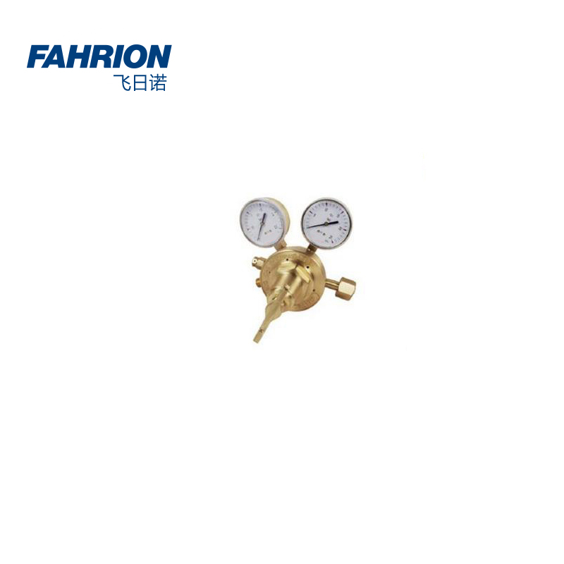 FAHRION/飞日诺 FAHRION/飞日诺 GD99-900-1872 GD6772 单级式重型减压器 GD99-900-1872