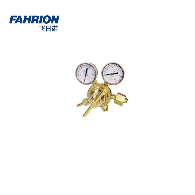 FAHRION/飞日诺 FAHRION/飞日诺 GD99-900-1877 GD6776 减压器 GD99-900-1877