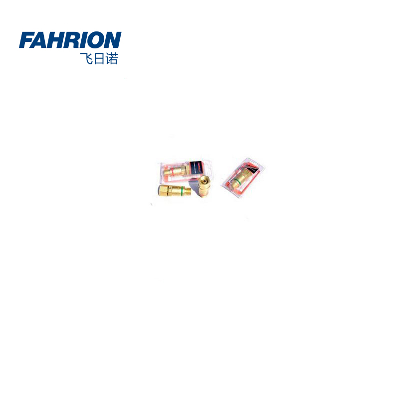 FAHRION/飞日诺 FAHRION/飞日诺 GD99-900-1879 GD6778 焊割炬用回火防止器 GD99-900-1879