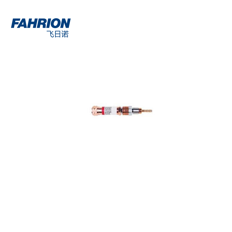 FAHRION/飞日诺 FAHRION/飞日诺 GD99-900-1893 GD6792 快速连接式气体回火防止器 GD99-900-1893