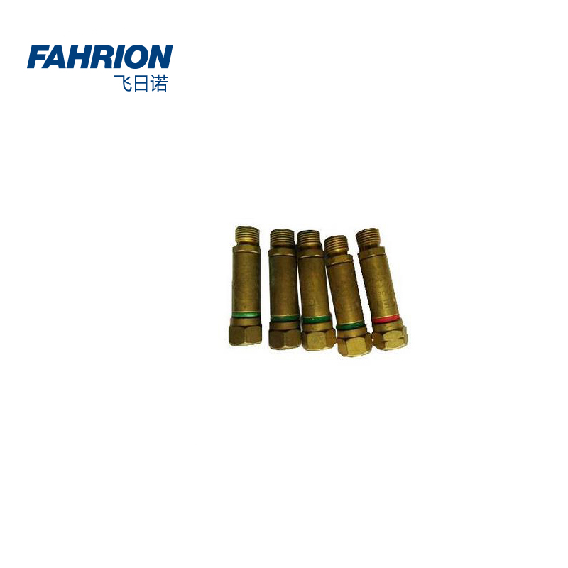 FAHRION/飞日诺减压器用气体回火防止器系列