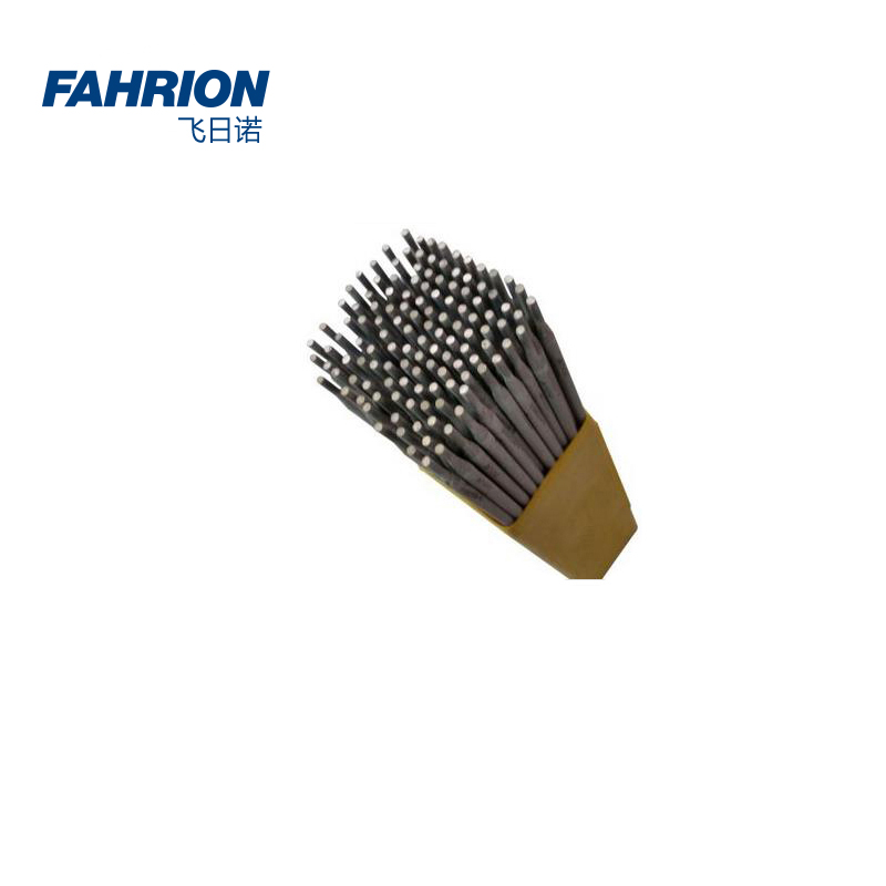 GD99-900-1995 FAHRION/飞日诺 GD99-900-1995 GD6837 碳钢焊条