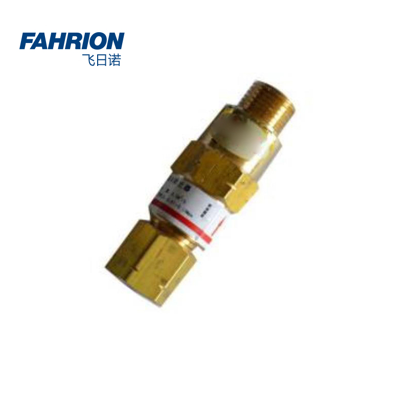 GD99-900-2433 FAHRION/飞日诺 GD99-900-2433 GD6921 回火防止器