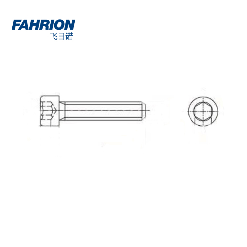 GD99-900-110 FAHRION/飞日诺 GD99-900-110 GD7017 内六角圆柱头螺钉 