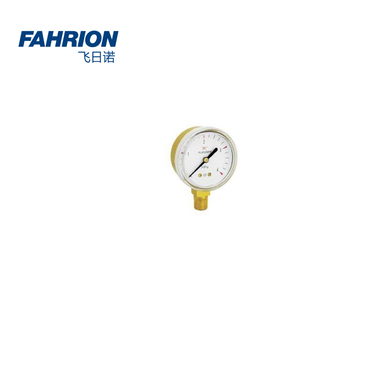 FAHRION/飞日诺 GD99-900-1919 GD8567 压力表