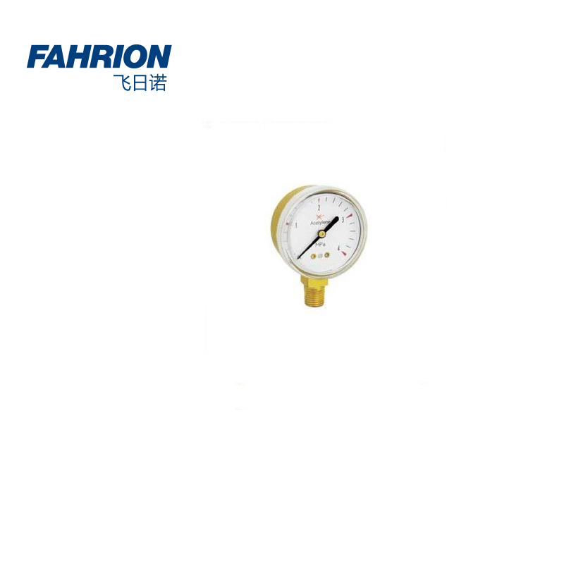 FAHRION/飞日诺 FAHRION/飞日诺 GD99-900-1927 GD8568 压力表 GD99-900-1927