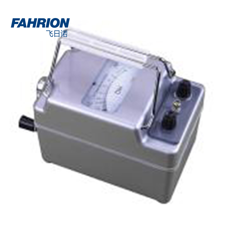 GD99-900-2781 FAHRION/飞日诺 GD99-900-2781 GD8619 绝缘电阻表