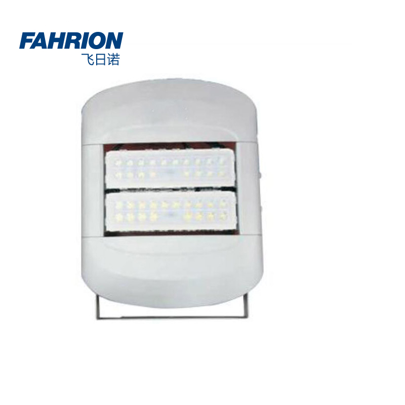 GD99-900-1767 FAHRION/飞日诺 GD99-900-1767 GD8751 LED投光(泛光）灯